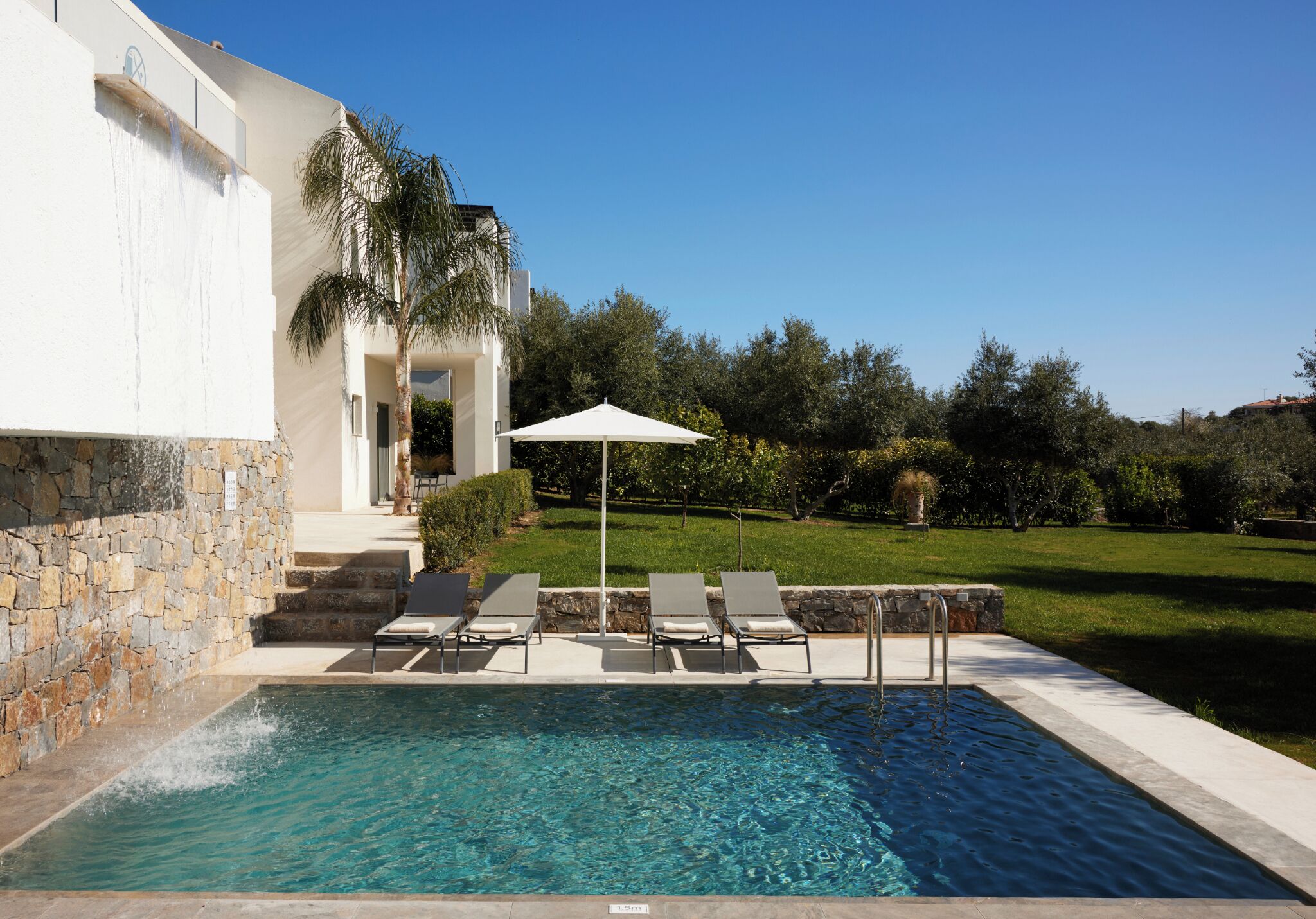 A swimming pool with lounge chairs and a palm tree, surrounded by a stone wall and a grassy area.