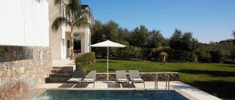 A swimming pool with lounge chairs and a palm tree, surrounded by a stone wall and a grassy area.