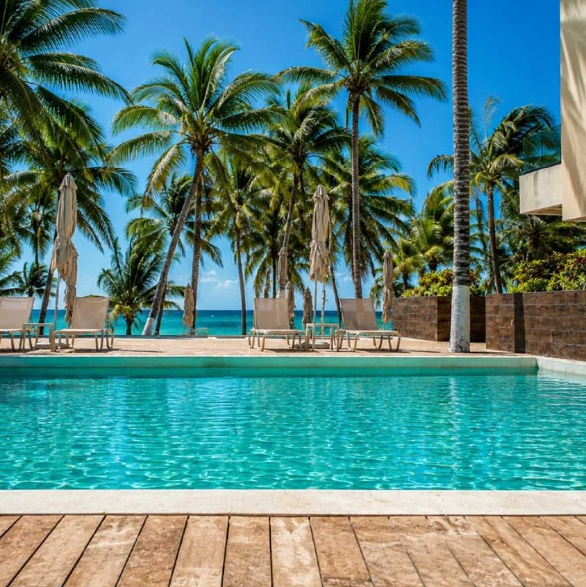 Une piscine entourée de chaises longues et de parasols, bordée de palmiers et surplombée d’un ciel dégagé.