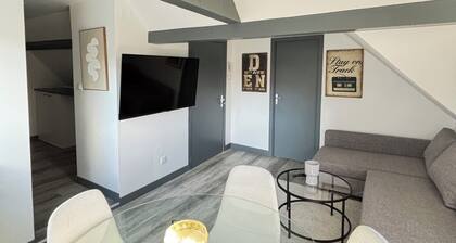 Soh Rent Appartement 3p Schiltigheim