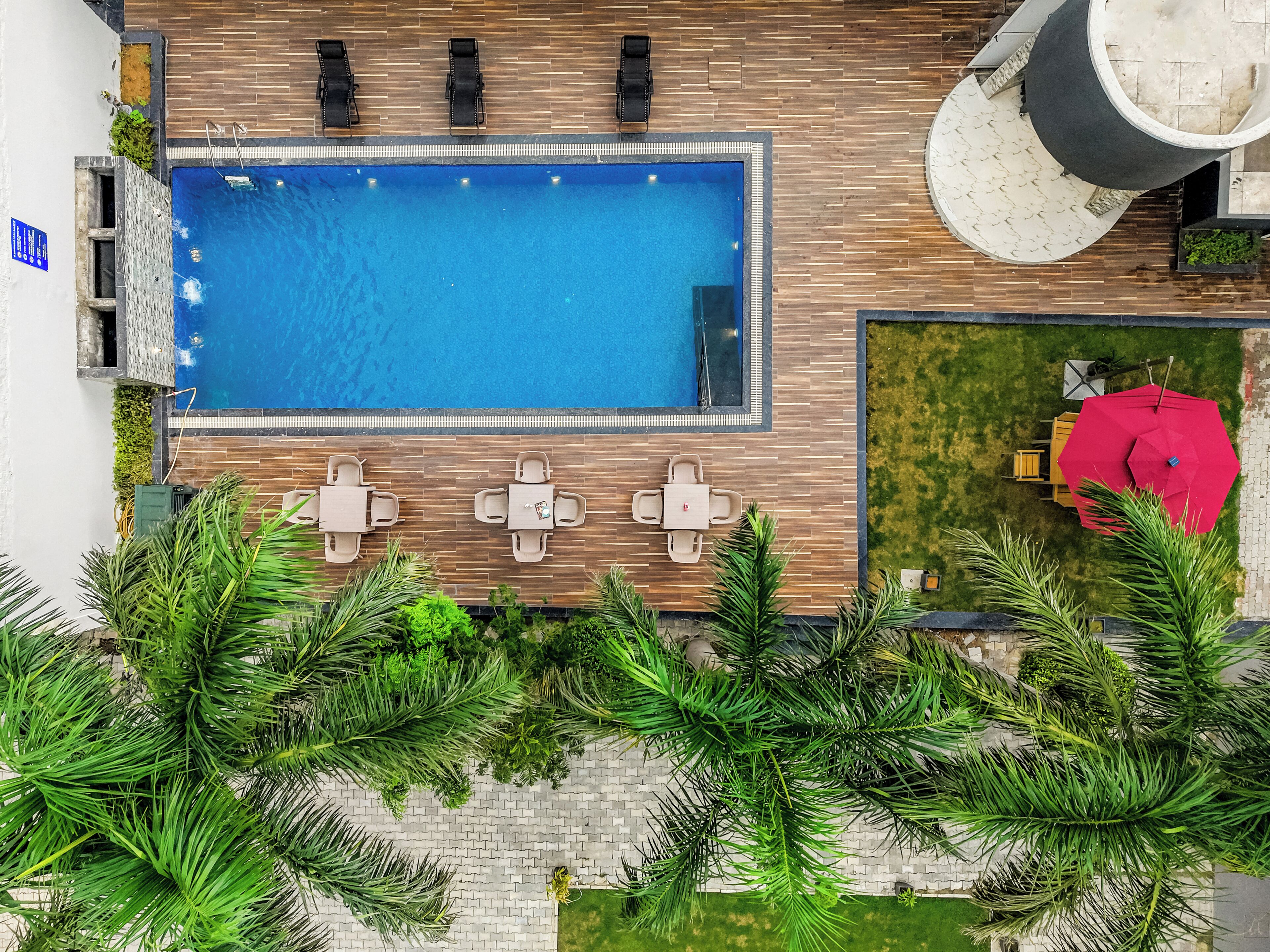 Vista aérea de una piscina con sillones de descanso, una mesa y follaje circundante.