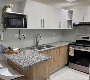Private kitchen - The Liras Oasis (Santiago de los Caballeros)