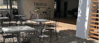 The Liras Oasis