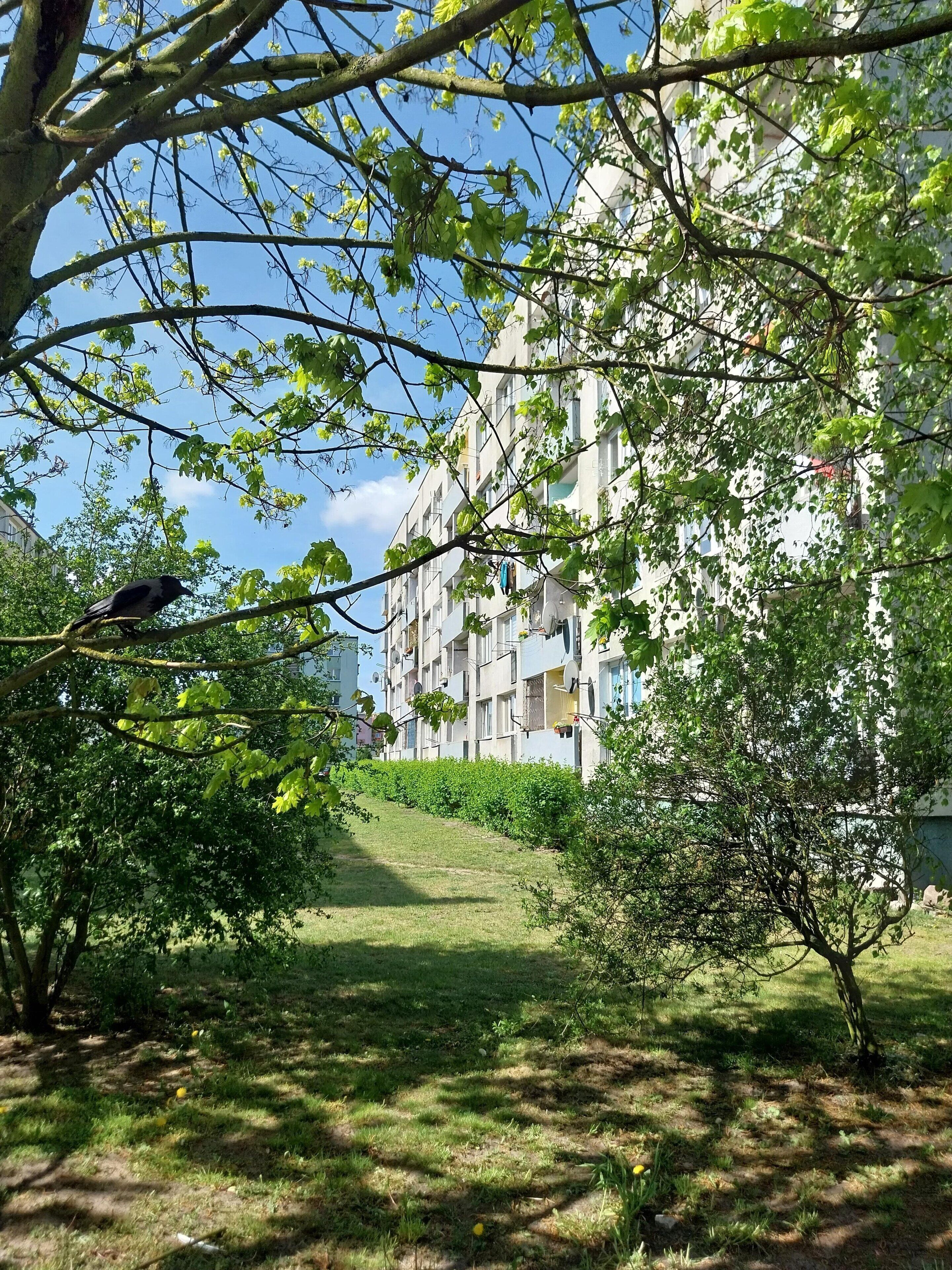 Apartment | Property grounds