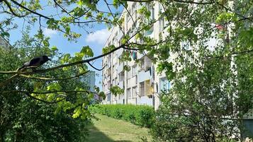 Apartment | Property grounds