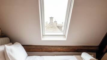 A bedroom with a bed, two skylights, and a view of buildings outside.