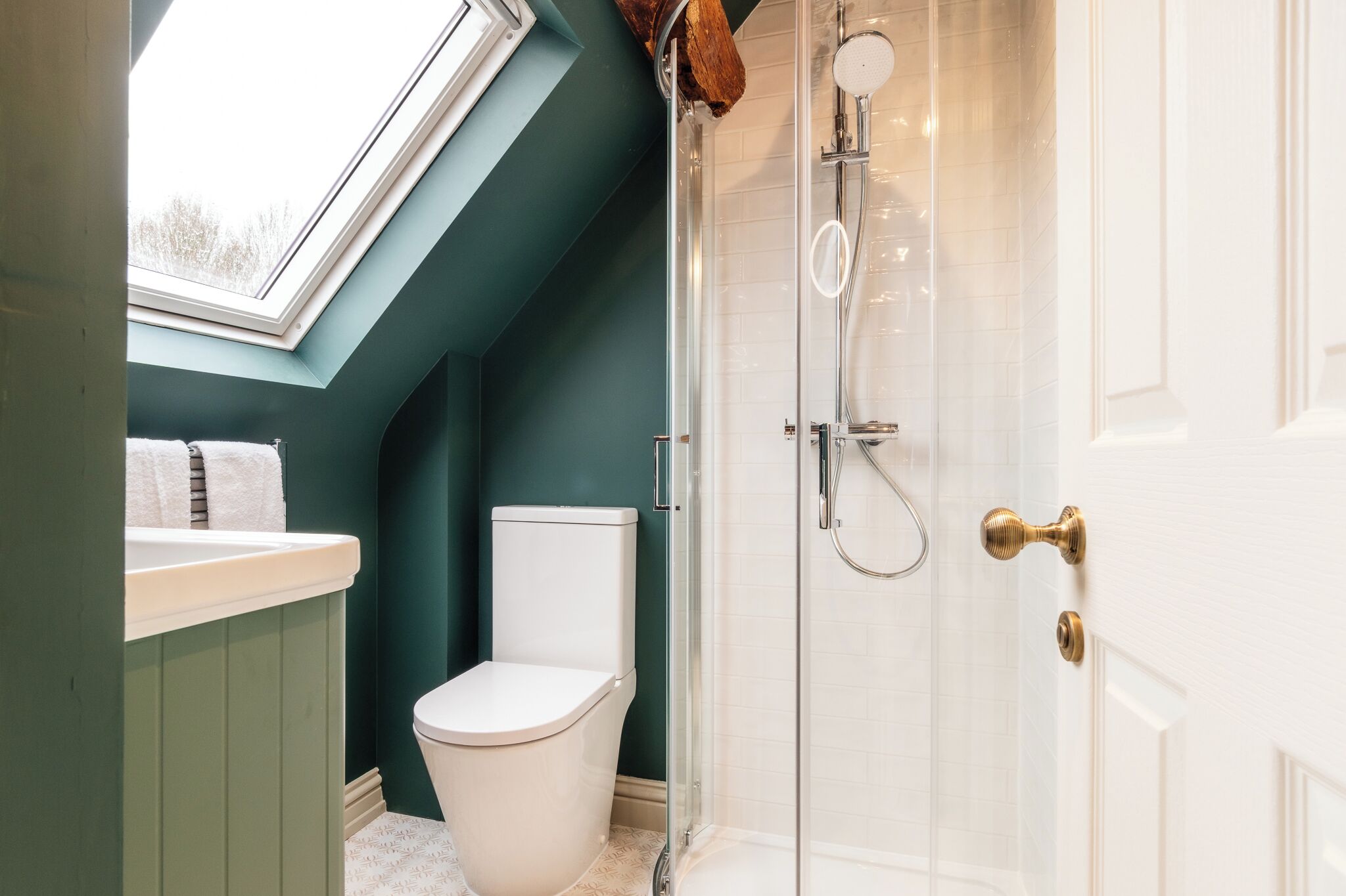 A bathroom with a skylight, a toilet, a shower, and a white door.