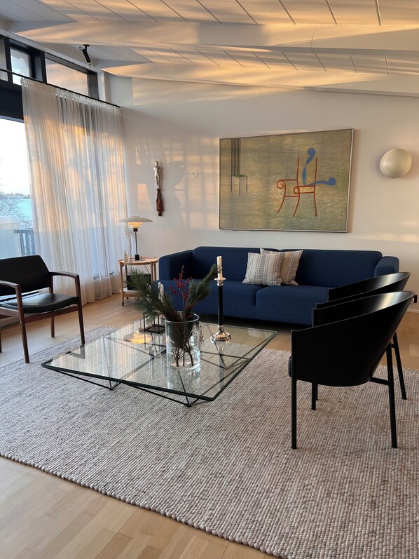 Living area - Beautiful home in Reykjavík - excellent location. (Reykjavík)