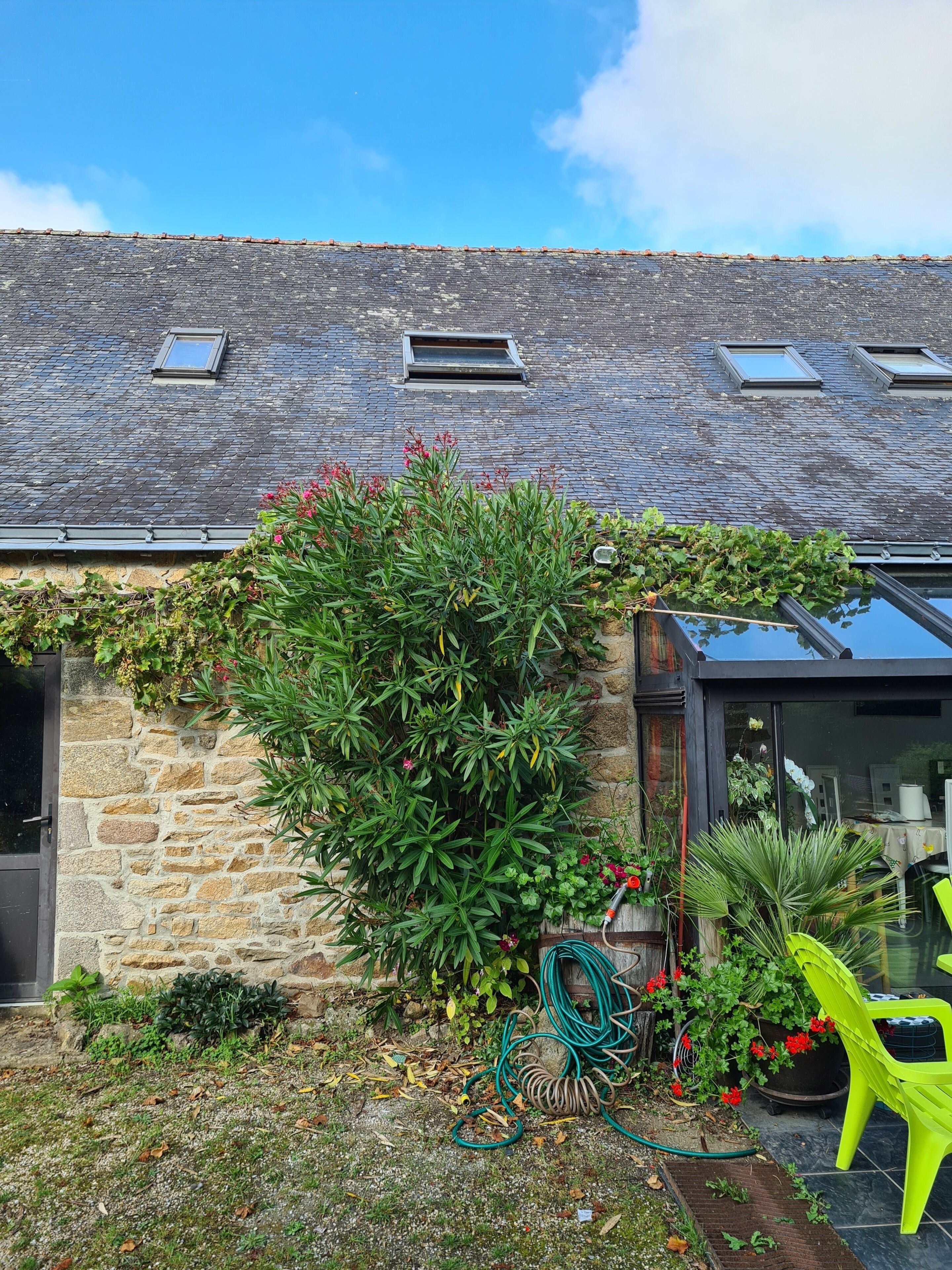 Vista frontal de la propiedad