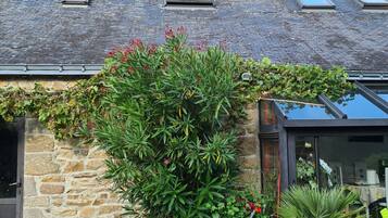 Vista frontal de la propiedad