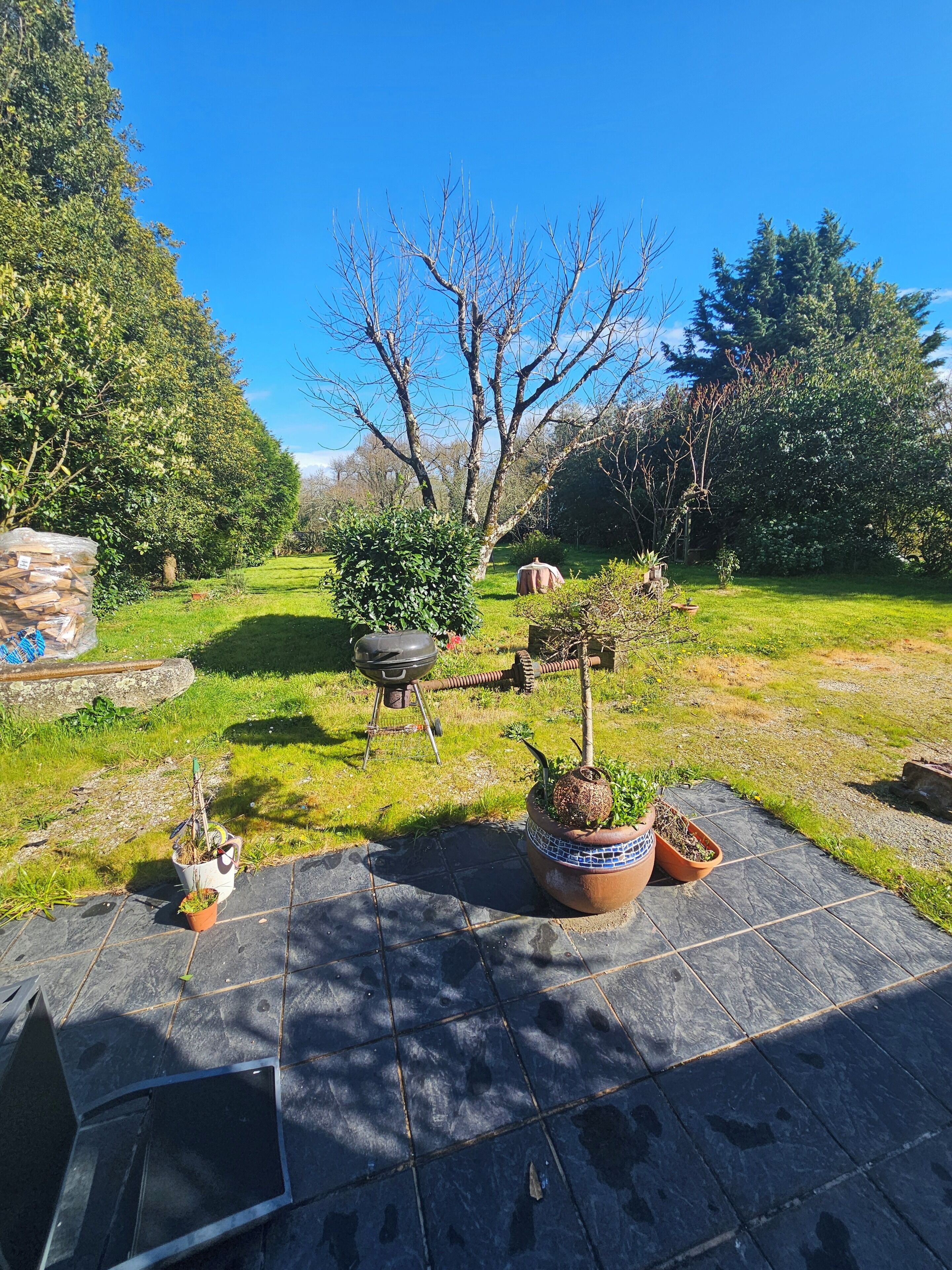 Un jardín con plantas en macetas, una parrilla de barbacoa y un muro de piedra.