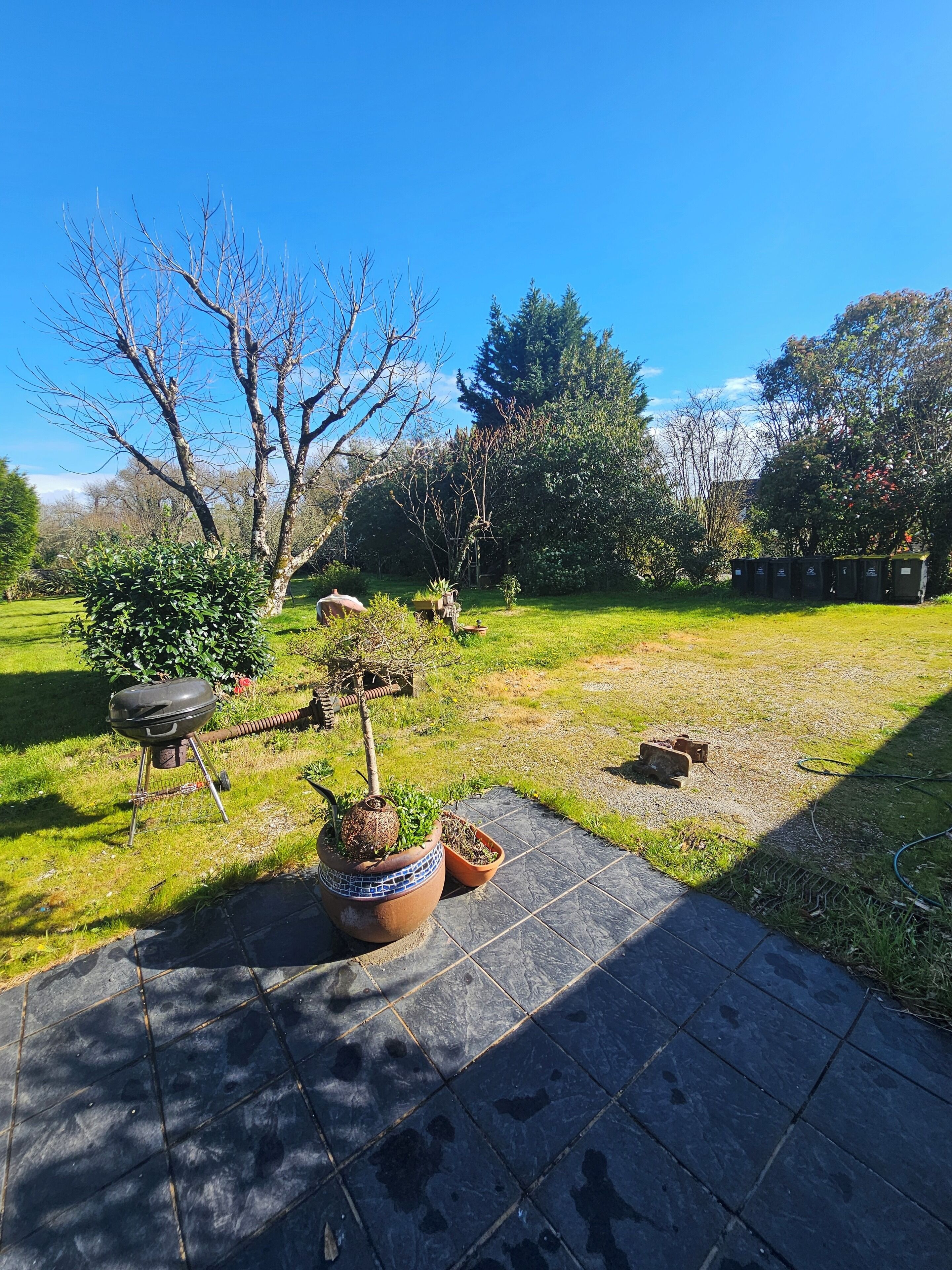 A garden with a barbecue grill, potted plants, and a paved patio area.