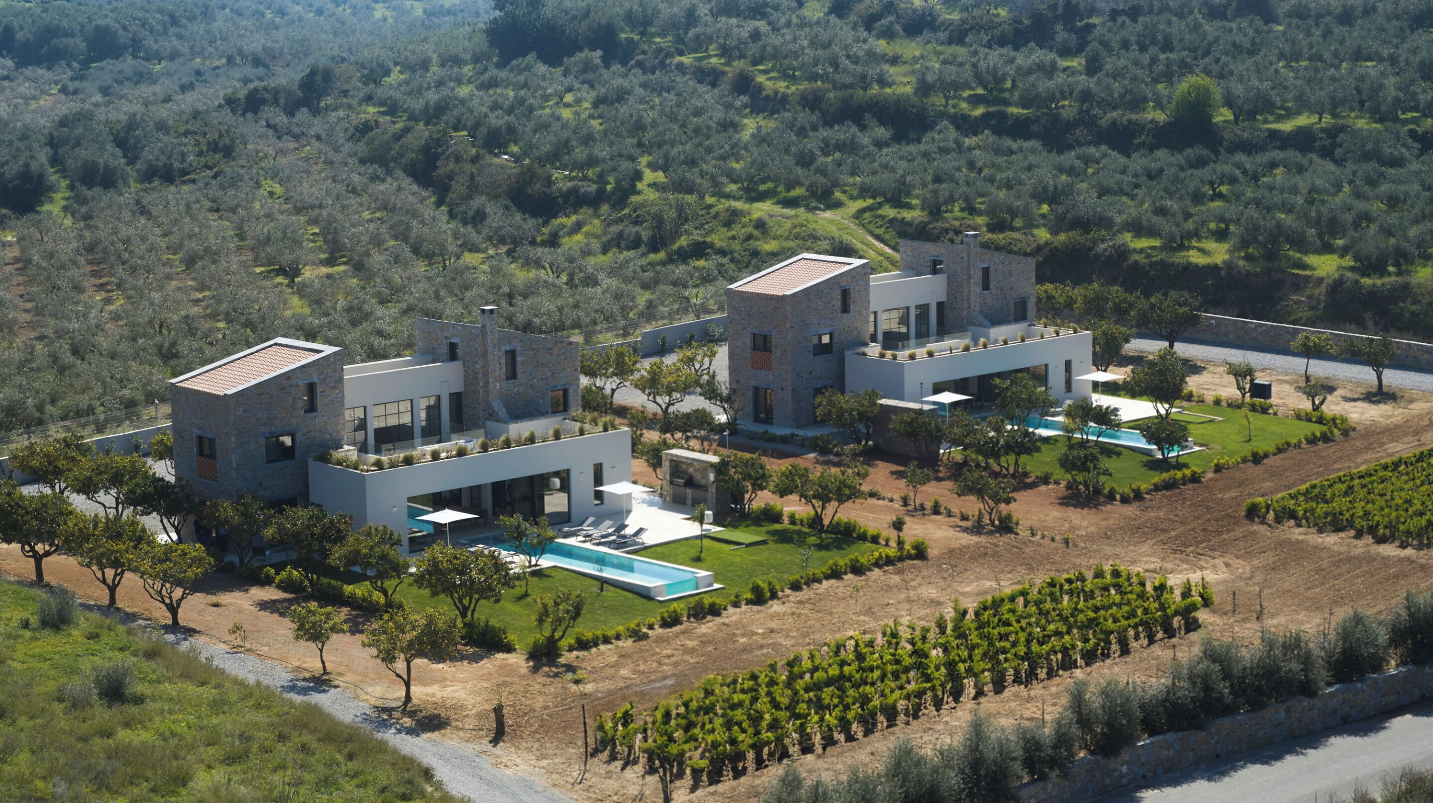 A modern villa with a pool, surrounded by olive groves and a vineyard.
