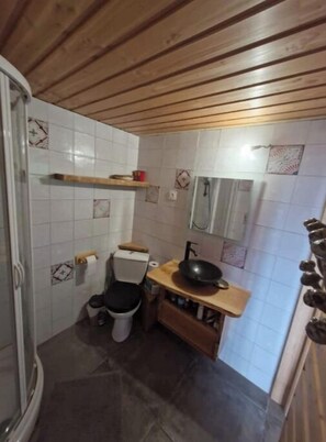 Regadera, amenidades de baño ecológicas, secadora de cabello, toallas 