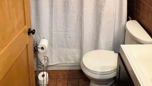 Une salle de bain avec un rideau de douche, des toilettes et un rouleau de papier toilette posé sur un porte-rouleau.