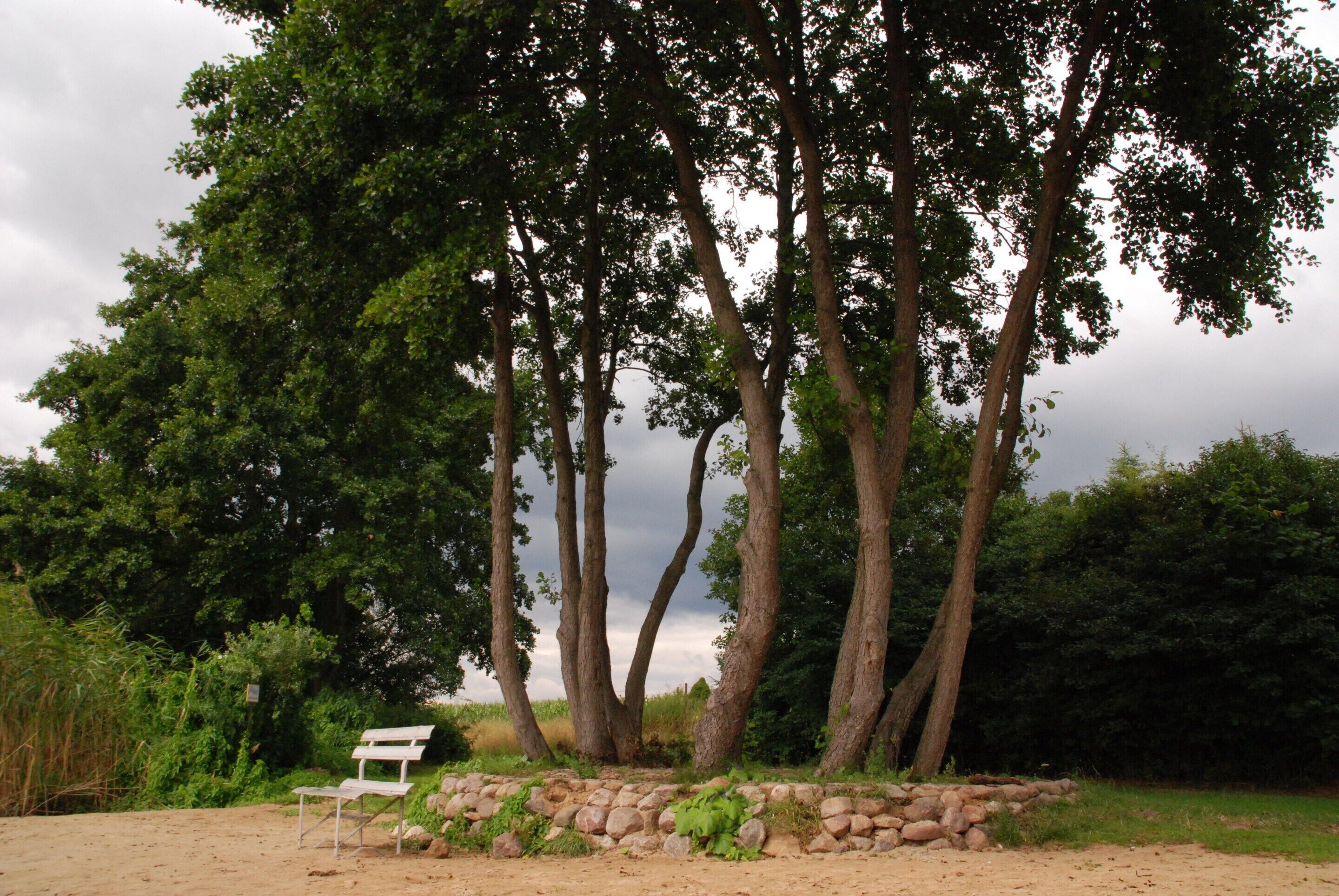 Apartment | Property grounds