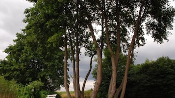 Apartment | Property grounds