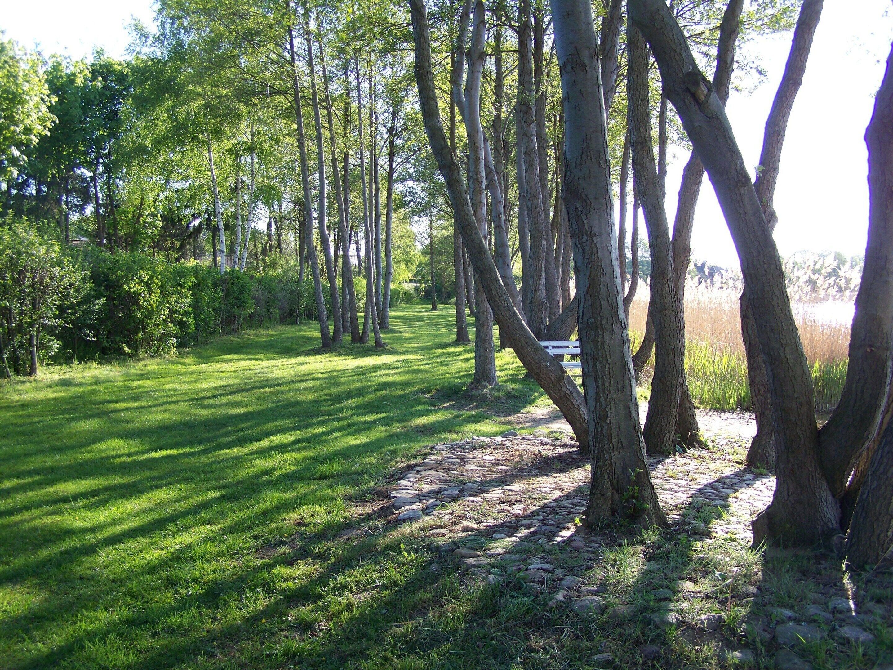 A natural landscape with a stone pathway, trees, and grass.
