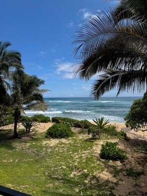 Blick auf einen Strand mit Palmen und Meereswellen.