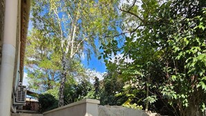 A stone staircase leading to a garden area with a stone wall and various plants. - Maison la Metairie Trois (Ferran)