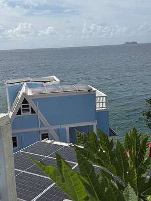 Property grounds - Tranquil 2-bedroom oceanfront Villa tucked away in peaceful charming Fortuna (Fortuna)