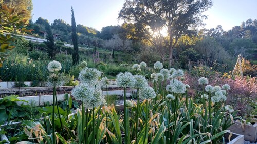 Myhomereservation_Refúgio Floral  Colares | Sintra