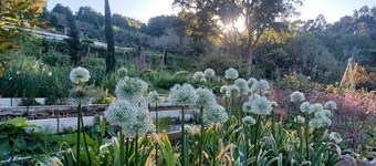 Myhomereservation_Refúgio Floral  Colares | Sintra