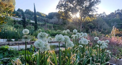 Myhomereservation_Refúgio Floral Colares | Sintra
