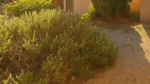 Ein Gebäude mit einem Ziegeldach, einer Tür und einem hohen Nadelbaum davor.