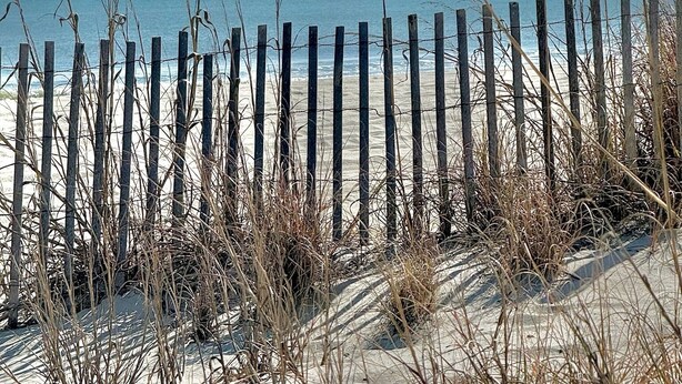 Ein Strand mit Holzzaun und Dünen.