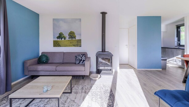 A modern living room with a sofa, a coffee table, a fireplace, and a painting on the wall. - Ewijk Lake Bungalow With Garden (Ewijk)