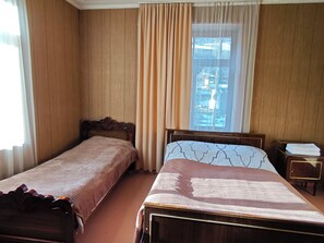 Classic Triple Room - DISNEY GUEST HOUSE (Mestia)