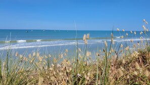 Una playa cerca