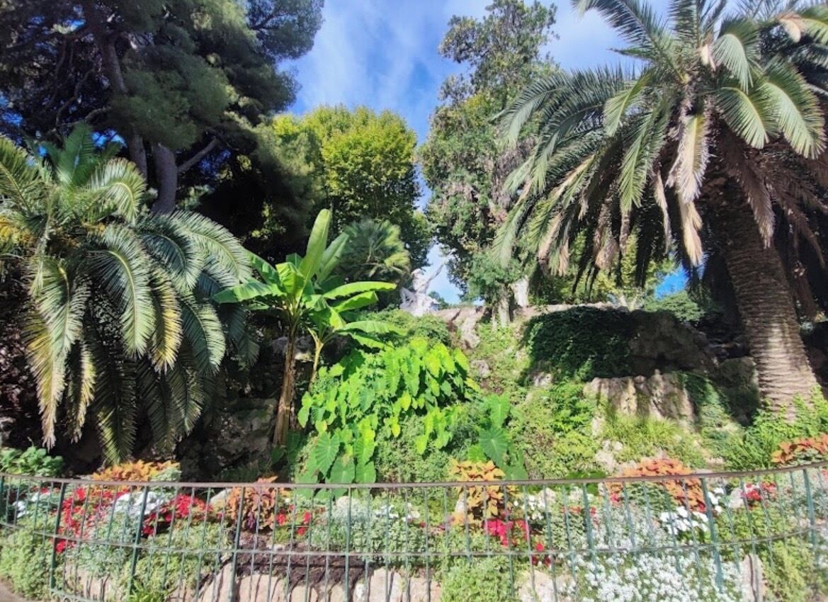 A garden with various plants and a metal fence.