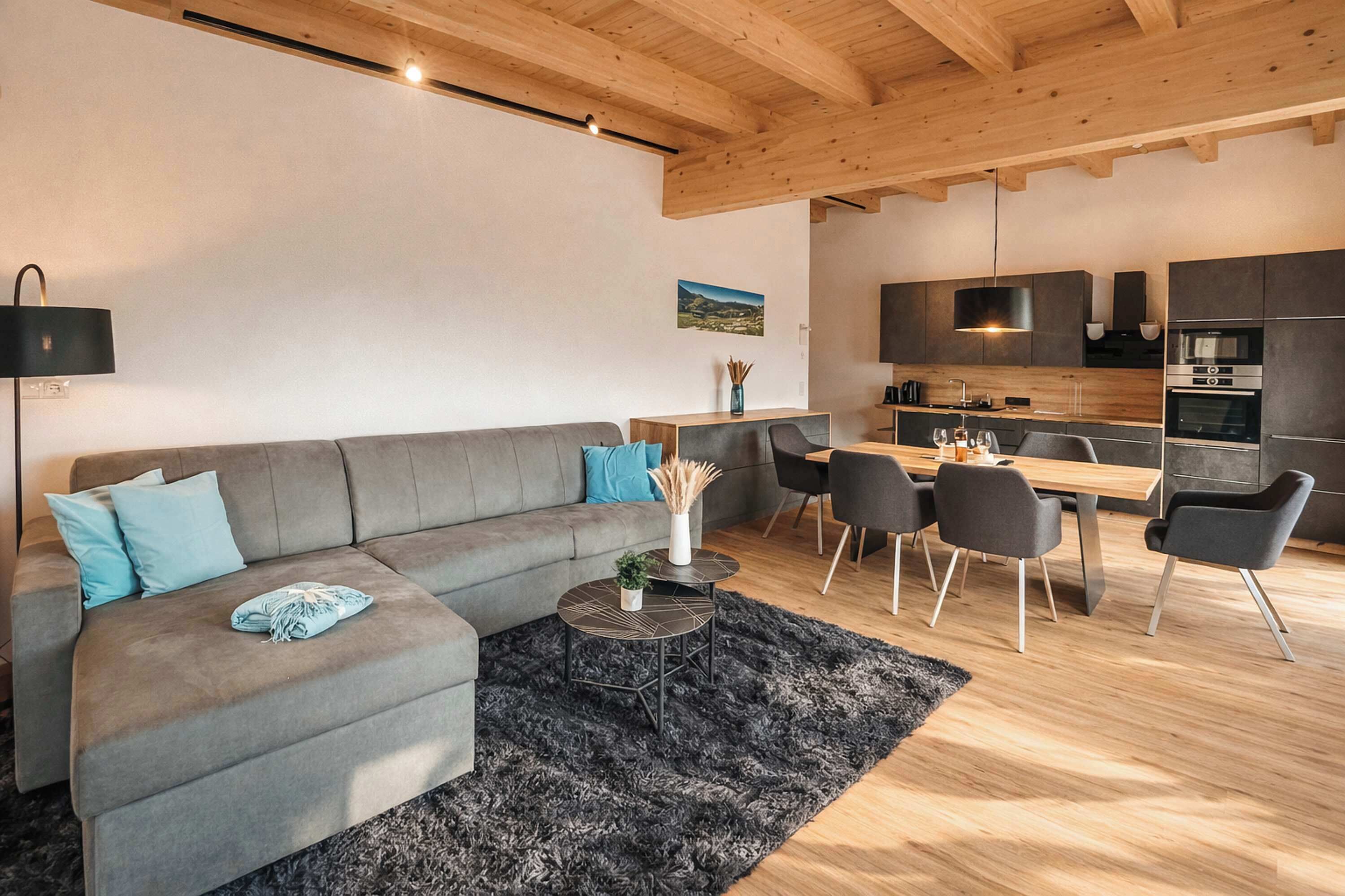 Fernseher, Arbeitsbereiche