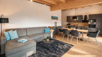 Fernseher, Arbeitsbereiche