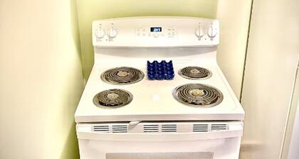 Downtown 1BR Historic 1911 Sleeps 4