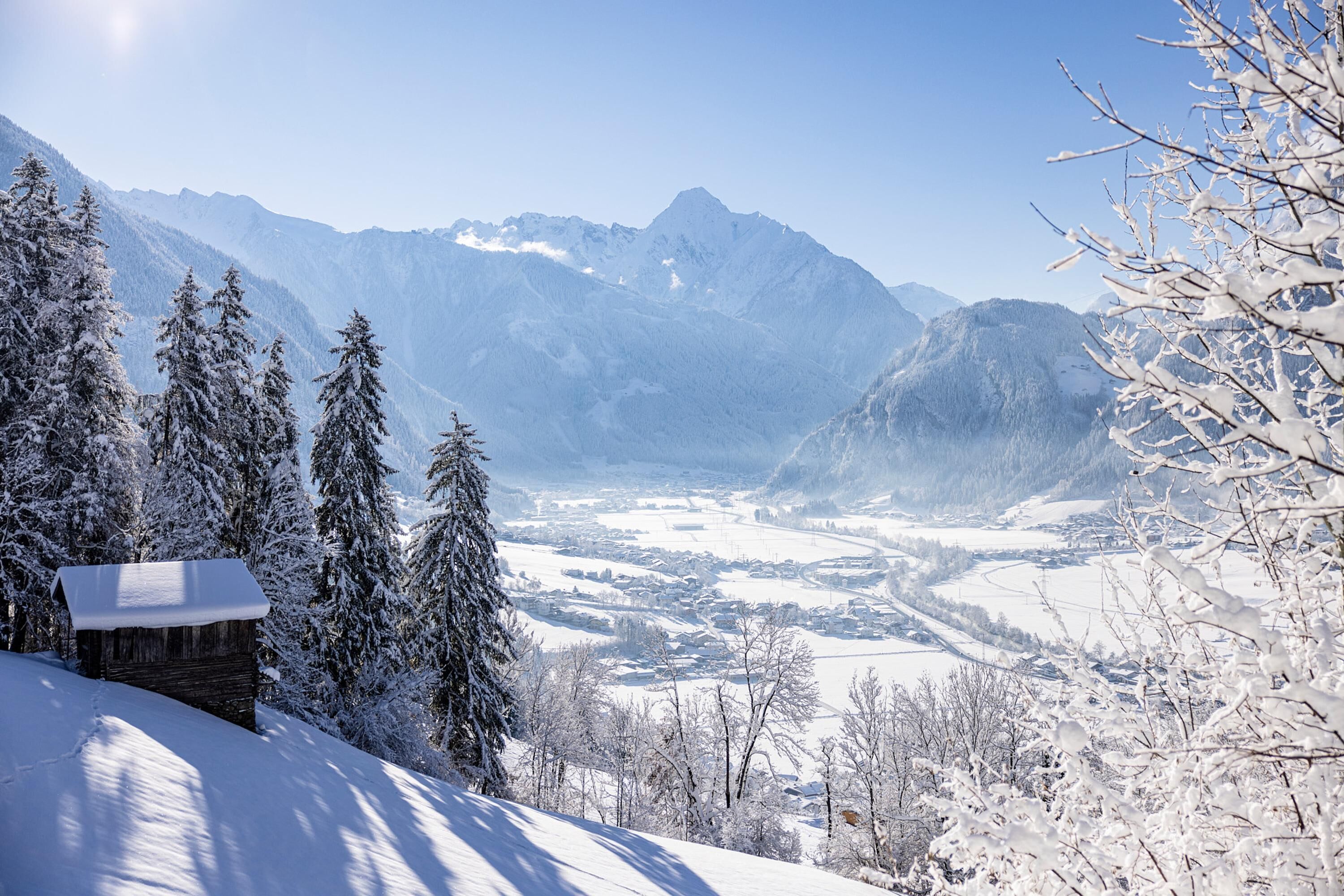 Eine verschneite Berglandschaft mit einer Hütte und Bäumen.
