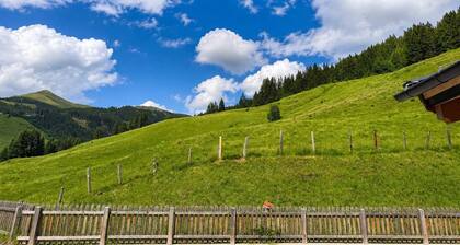BEIM LOIS Edelweiss - mit Saunazugang
