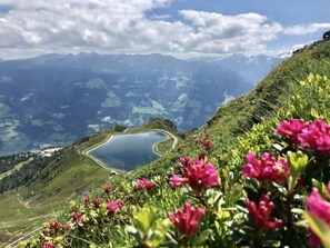 A mountainous landscape with a lake, greenery, and flowers.