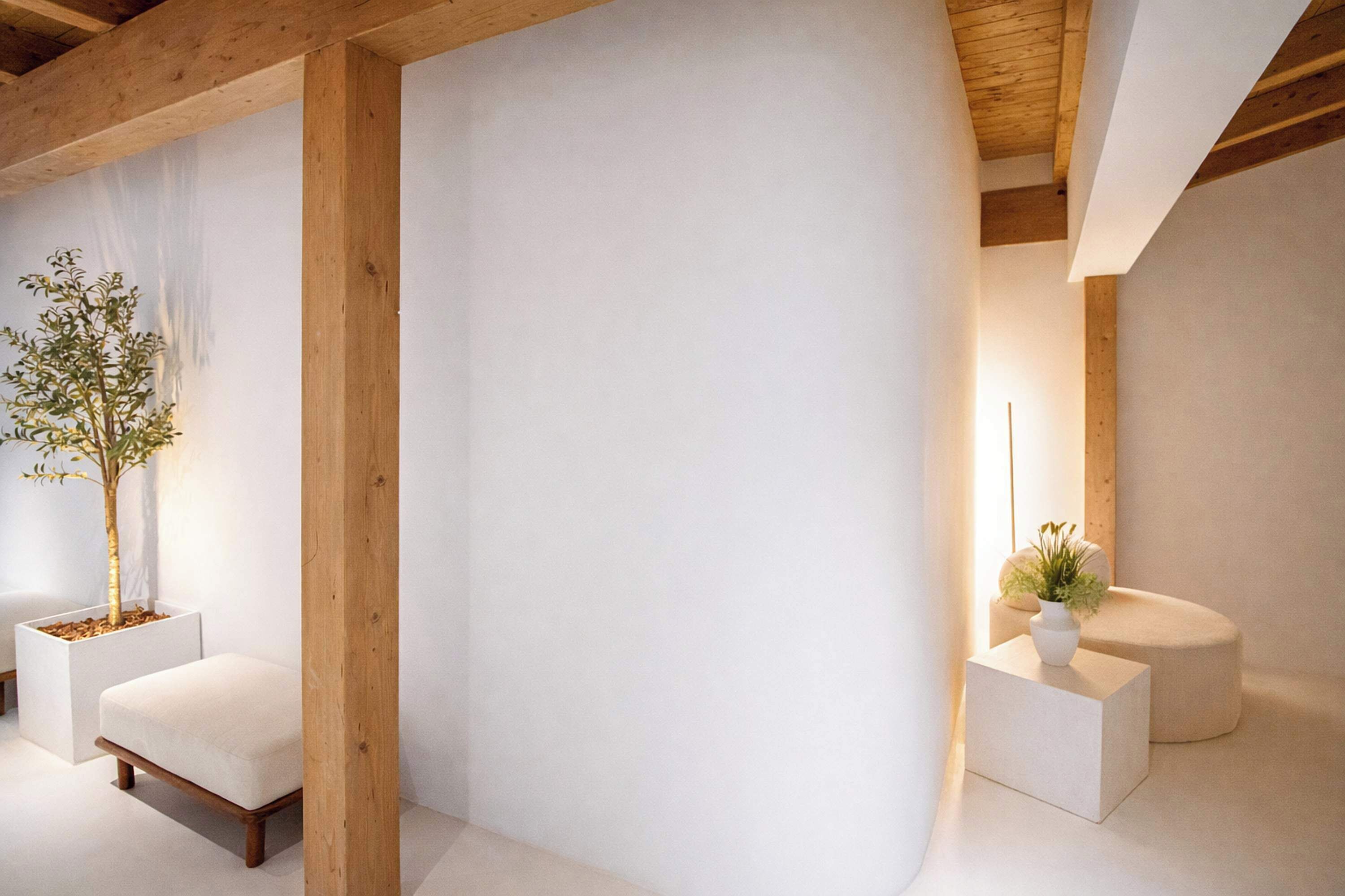 A minimalist room with a wooden ceiling, a white bench, a potted plant, and a white wall.