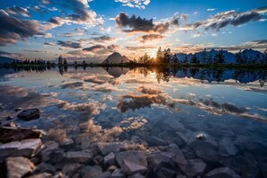 Miscellaneous