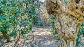 Terrein van de accommodatie