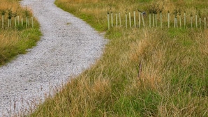 A gravel path leading to a row of cabins in a grassy field with a fence on one side and hills in the background. - The Old Library Shepherd's Hut with Hot Tub, on the edge of the North York Moors (Pinchinthorpe)