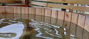 The Old Library Shepherd's Hut with Hot Tub, on the edge of the North York Moors