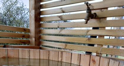 The Old Library Shepherd's Hut with Hot Tub, on the edge of the North York Moors