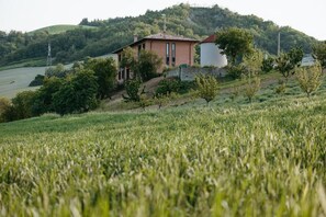 Exterior - azienda agricola pandolfa (Fiumana)