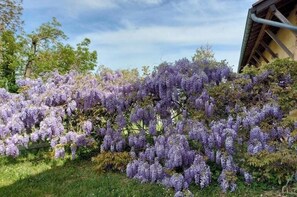 Miscellaneous - Quiet Maison de Maître in Burgundy with enclosed gardens. Pets welcome. (Huilly-sur-Seille)