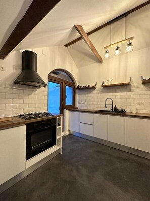 Fridge, oven, stovetop, coffee/tea maker - Cismigiu Penthouse Apartment (Bucharest)