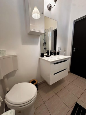 A modern bathroom with a toilet, a sink, a mirror, and a shower. - Cismigiu Park Studio Apartment (Bucharest)